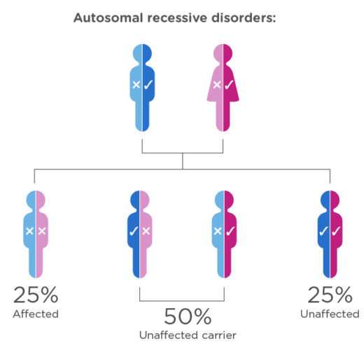 GeneSeeker: Compatibility Genetic Test - IVI clinics