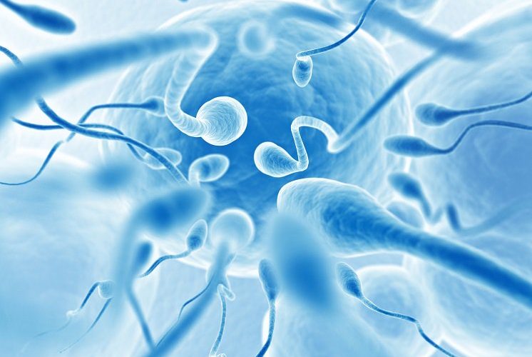 Low sperm count symptoms - Nude photos