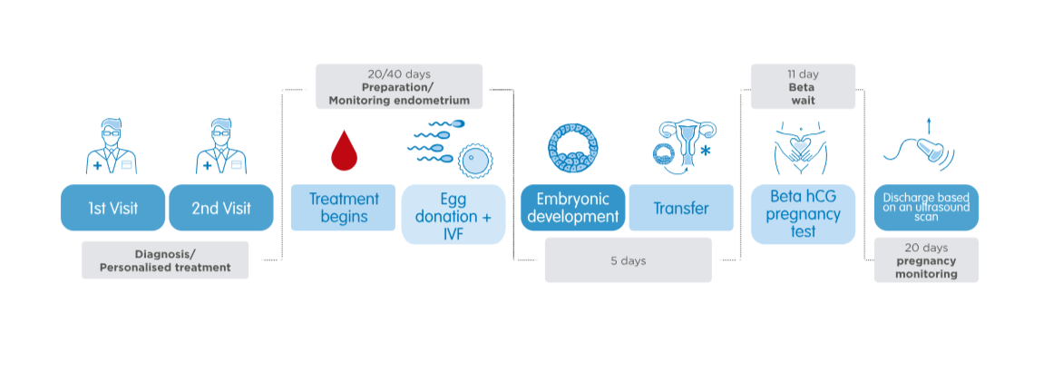 Ovodonation Process