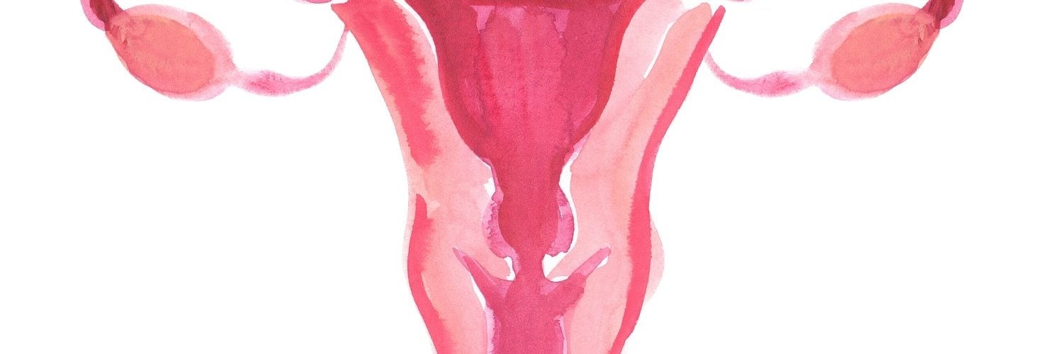 A septate uterus: what is it, how is it detected and how does it affect pregnancy?