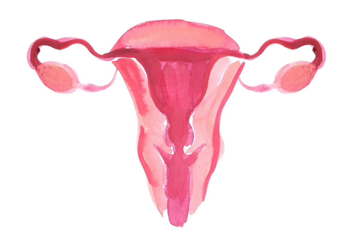And pregnancy uterus Tilted Uterus