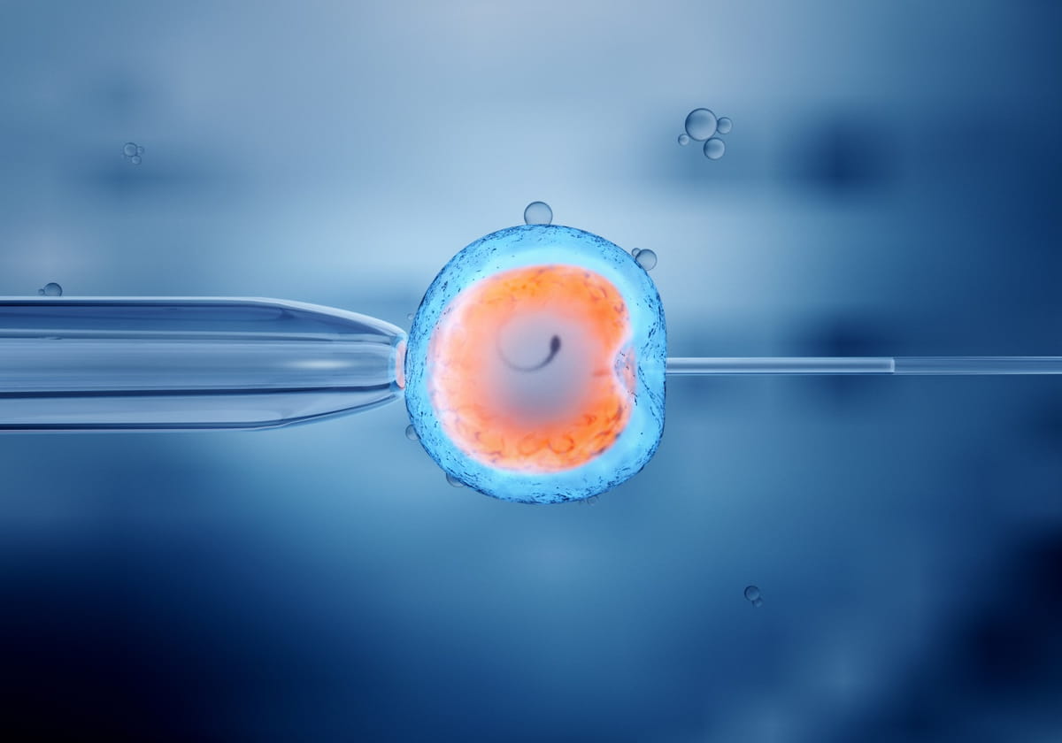 best ivf treatment in india