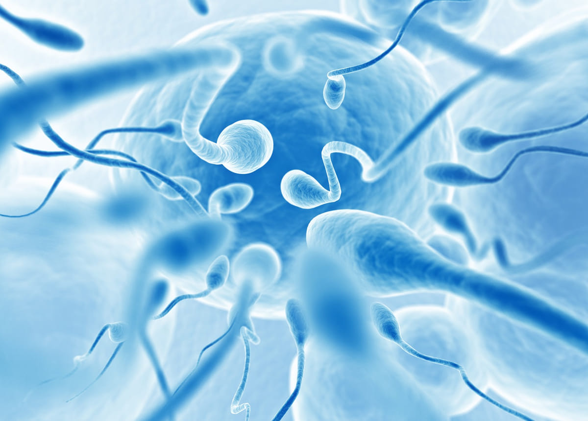 autism sperm IVI
