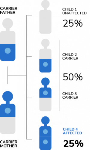 Infografía TCG 547