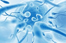 Low sperm motility: causes and treatment