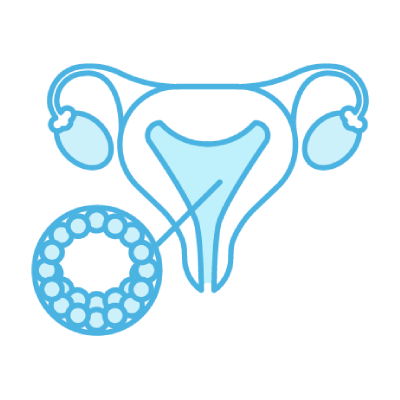 Transfer of the Best Embryo