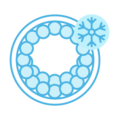 Embryo vitrification and PGT-A