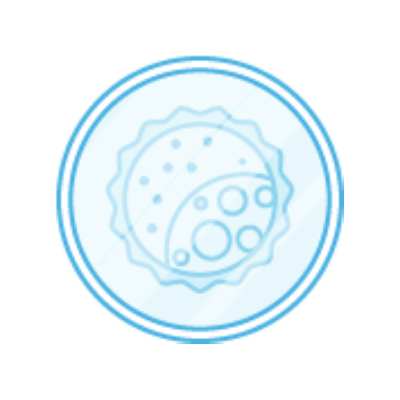 Embryo culture