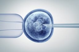 preimplantation genetic tests