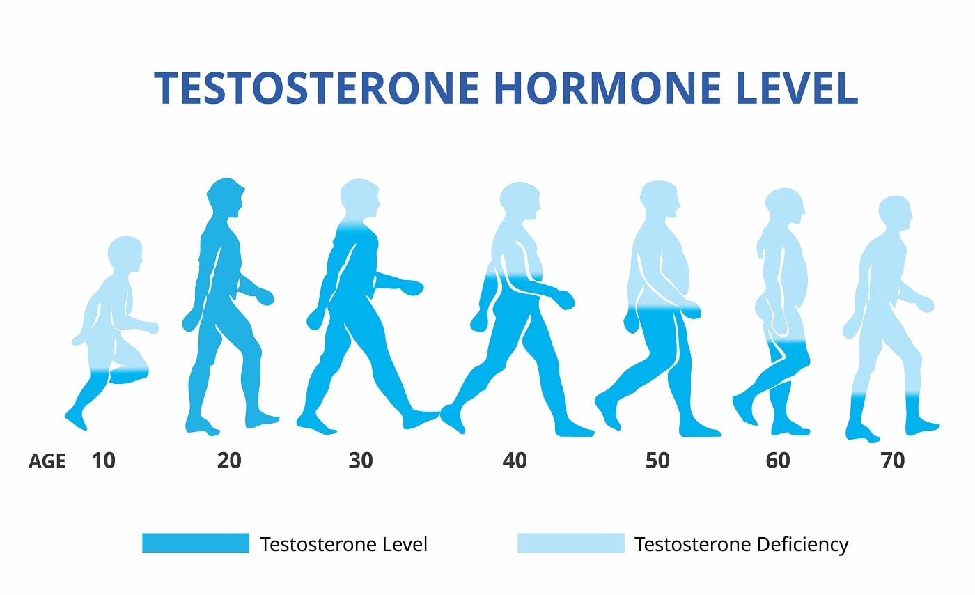 How does low testosterone affect male fertility?