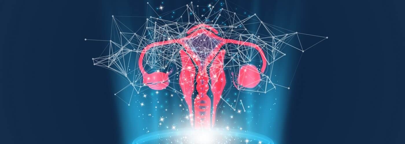 dominant follicle ovary