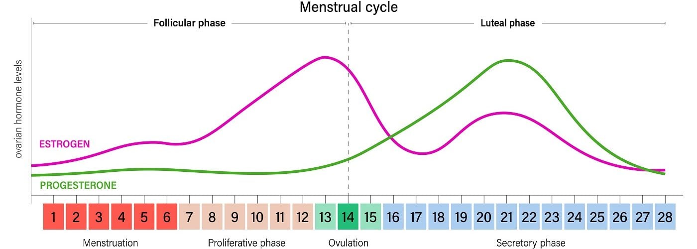 how to calculate ovulation