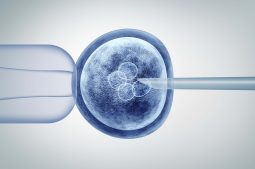 Safety in embryo selection