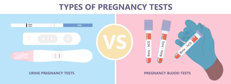 pregnancy test transfer