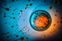 artificial intelligence embryos