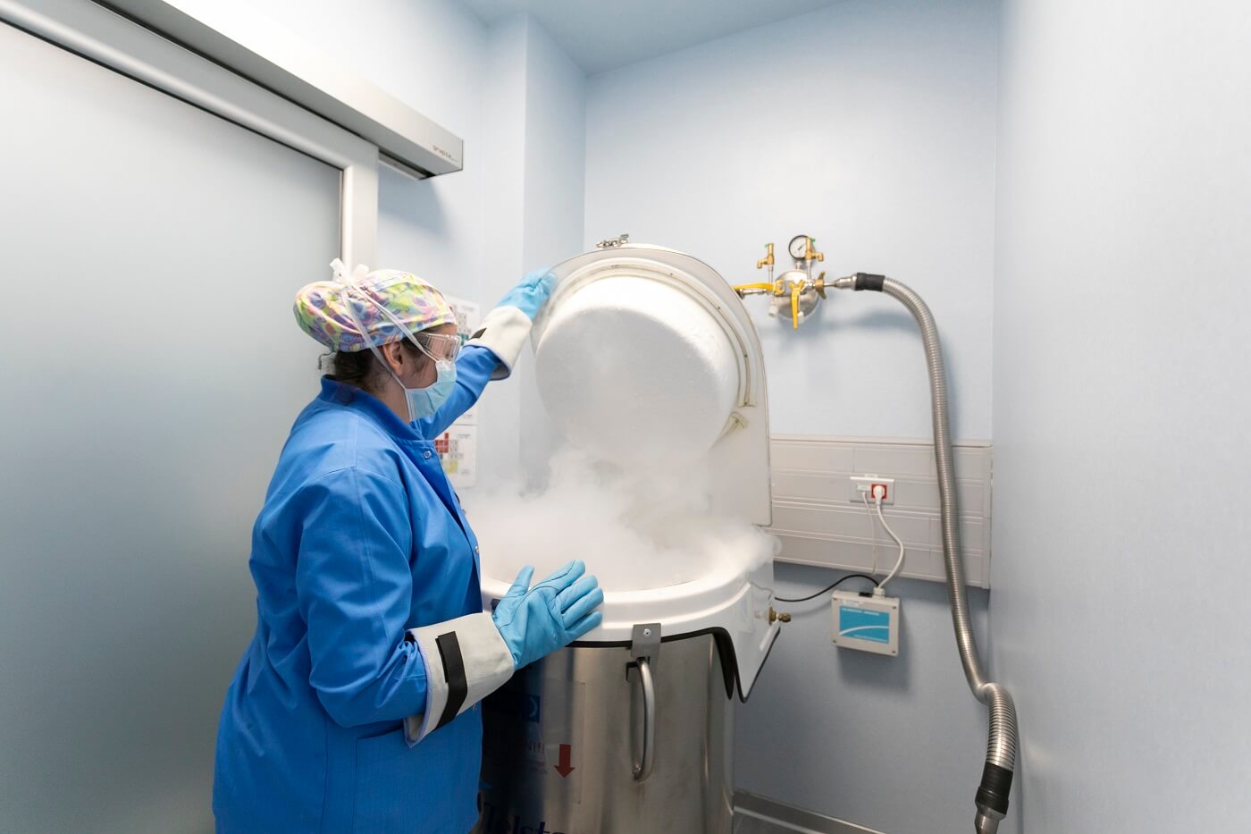 Freezing embryos vs freezing eggs what are the pros and cons?