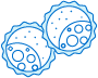  2 blastocysts 