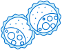 2 blastocysts
