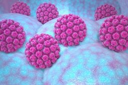 HPV and fertility: is there any relation?