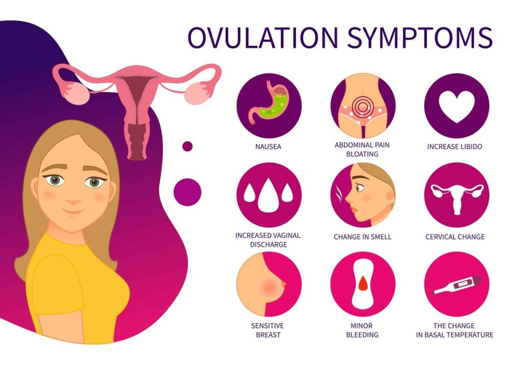 Ovulation Symptoms