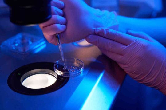 A New Frontier in Female Infertility: Restoring Ovarian Function Through Stem Cell–Derived Proteins
