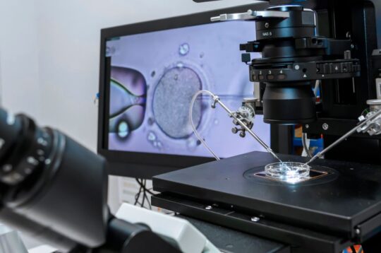 An antidiabetic drug and a plant-derived compound: a new approach to improve treatment outcomes and reduce miscarriage risk in assisted reproduction