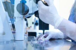 What are mosaic embryos? Understanding their role in IVF success