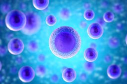 Improving egg quality: a complete guide to increasing fertility