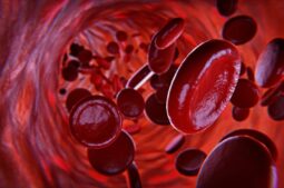 M Immunoglobulin (IgM): Function, Levels and Role in Immunity